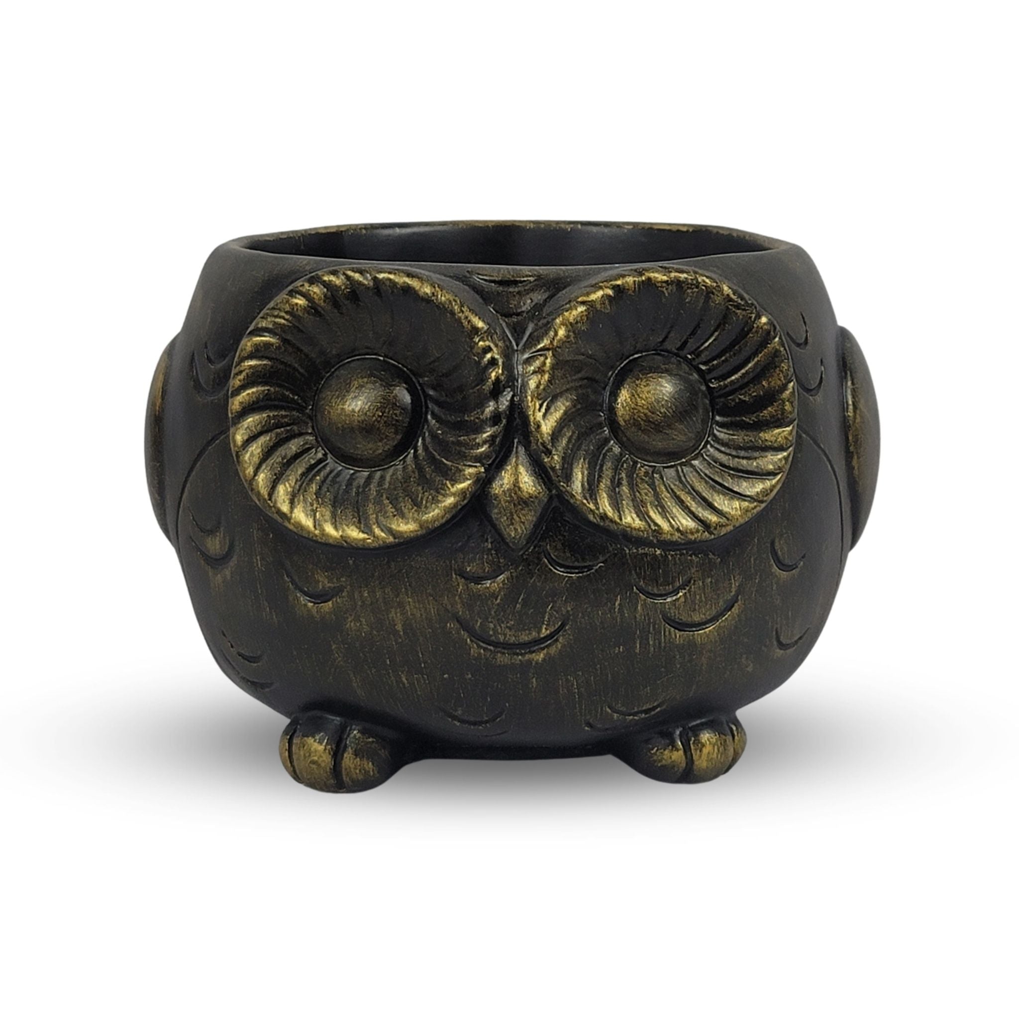 Wise Wings Owl Planter - Black Gold